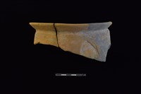 藏品(陶罐)的圖片